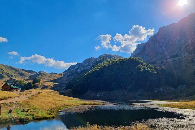 Private Full Day Safari Tour - An In-Depth Look at the Zelengora Safari