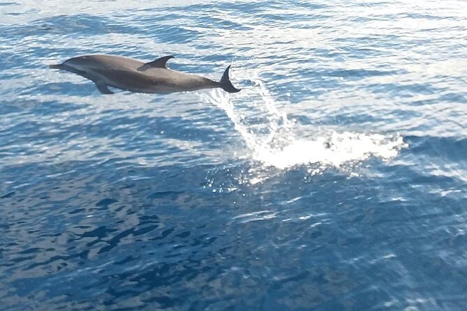 Private Full Day Sail/ Snorkel Experience USVI (Sapphire Marina, STT pick up) - Analyzing the Value: Is It Worth It?