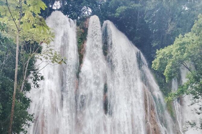 Private Full-Day Samaná Whale Watching Tour from Punta Cana - Frequently Asked Questions