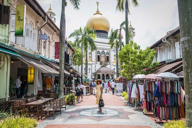 Private Full Day Singapore City Tour with Professional Tour Guide - In-Depth Review of the Singapore Full-Day Tour