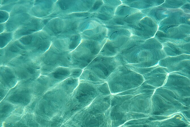 Private Full Day Snorkel Soufriere Charter - Who Would Love This Tour?