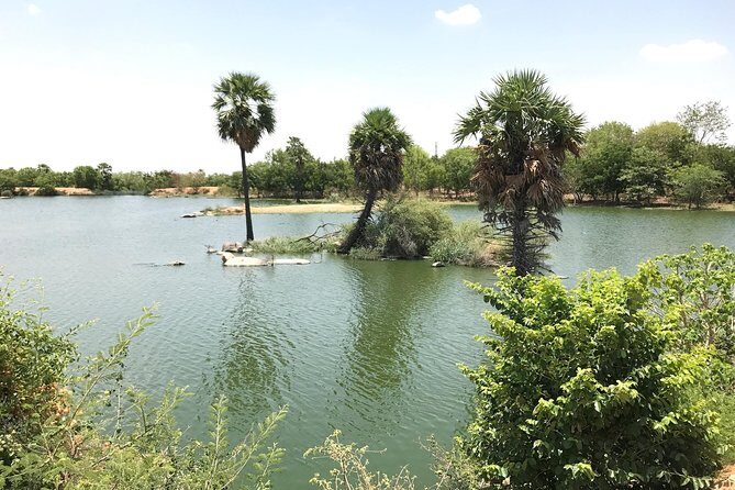 Private Full-Day Textile Tour Excursion from Hyderabad - Who Will Love This Tour?