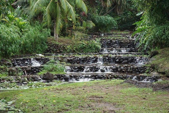Private full day tour around Tahiti: the island's nature wonders - Final Thoughts