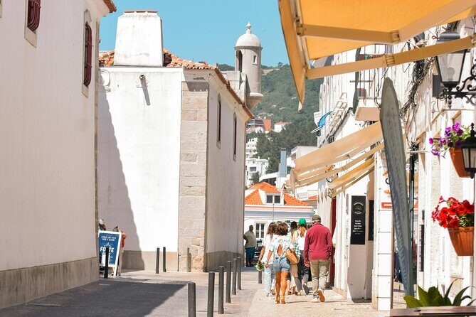 Private Full Day Tour Arrabida, Palmela, Azeitão and Sesimbra - Exploring the Tour in Depth