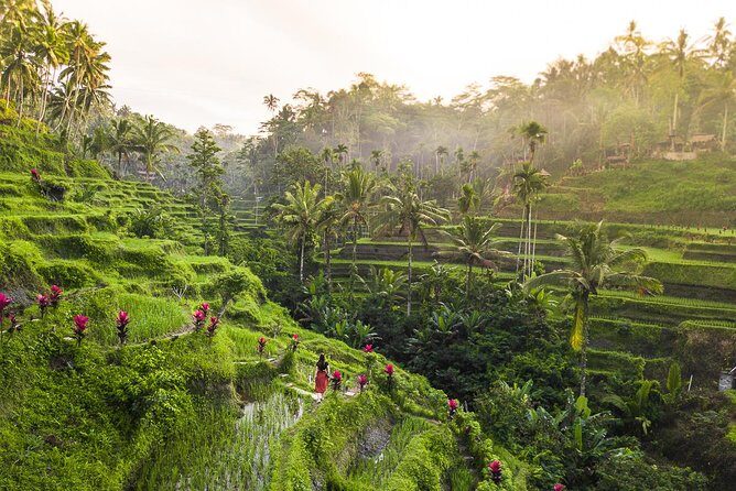 Private Full-Day Tour: Balinese Temples and Rice Terraces - FAQ