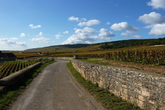 Private Full Day Tour Burgundy Gourmet - A Delightful Day Exploring Burgundy’s Culinary Treasures
