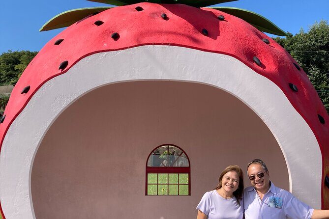 Private Full Day Tour from Fukuoka to Nagasaki - Final Thoughts