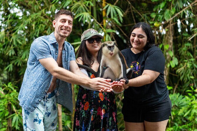 Private Full-day Tour in Grenada with Pickup - Final Thoughts: Is This Tour Right for You?