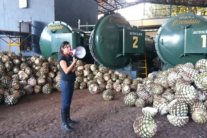 Private Full Day Tour in Guachimontones and Orendain Tequila - What’s Included and What’s Not