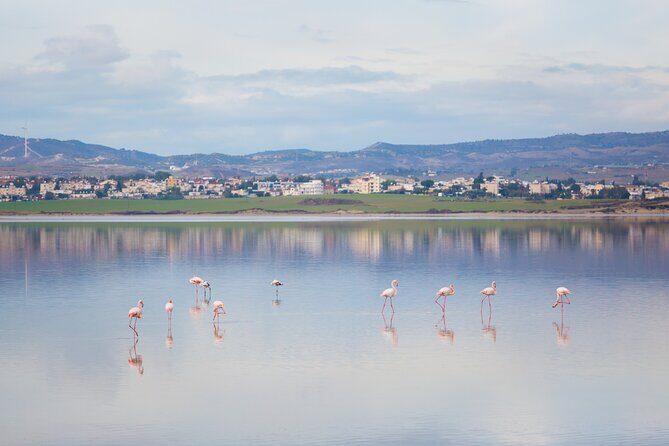 Private Full-Day Tour in Larnaca with Hotel Pick Up - Final Thoughts