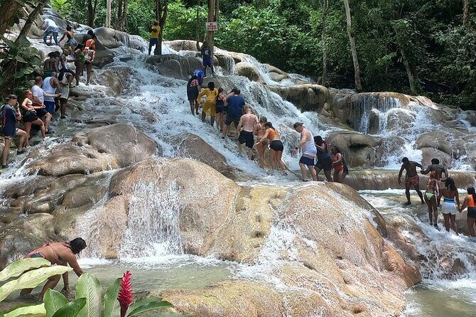 Private Full-Day Tour in Ocho Rios from Montego Bay - The Sum Up