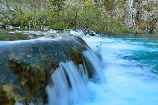 Private Full-Day Tour in Plitvice Lakes National Park from Zadar - Introduction: Why Consider a Private Tour to Plitvice Lakes?