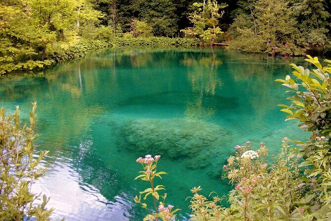 Private Full-Day Tour in Plitvice Lakes National Park from Zadar - Authentic Encounters and the Review Highlights