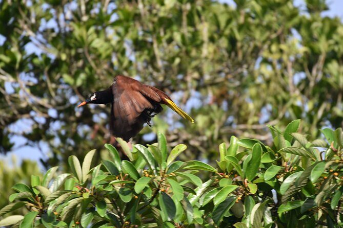 Private Full Day Tour in Tikal - Authenticity and Value