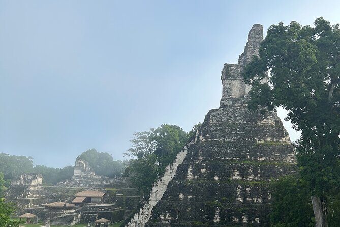 Private Full Day Tour in Tikal - Who Should Consider This Tour?