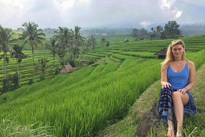 Private Full-Day Tour Jatiluwih Rice Terrace and Tanah Lot Temple - A Deep Dive into the Bali Private Full-Day Tour