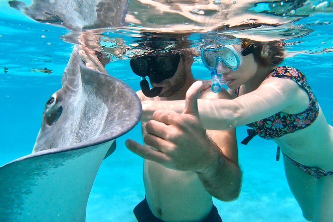PRIVATE Full Day Tour : Moorea Snorkeling & Sailing on a Catamaran named Taboo - Who Should Book This?