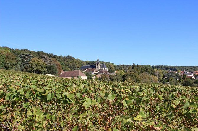 Private Full-Day Tour of Champagne Region - Who Should Consider This Tour?