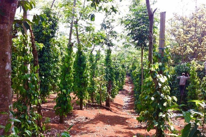 Private Full-Day Tour of Da Lat Included Lunch From Nha Trang - FAQs