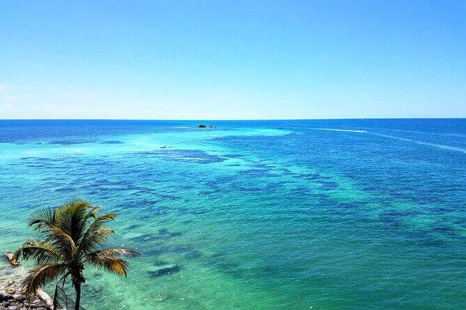 Private Full-Day Tour of Florida Keys from Miami/FLL to Key West - Key Points
