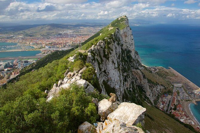 Private Full Day Tour of Gibraltar from Malaga or Marbella - Who Should Book This Tour?