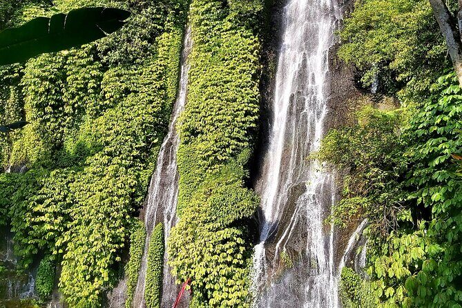 Private Full-Day Tour of Hidden Waterfalls in Bali - Who Would Love This Tour?
