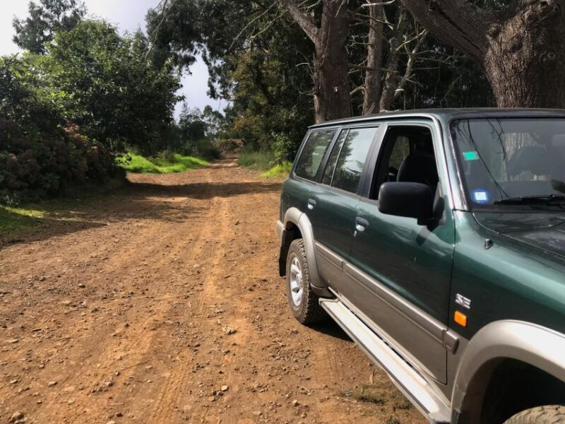 Private Full-Day Tour of North Coast and Laurissilva Forest - Itinerary Breakdown