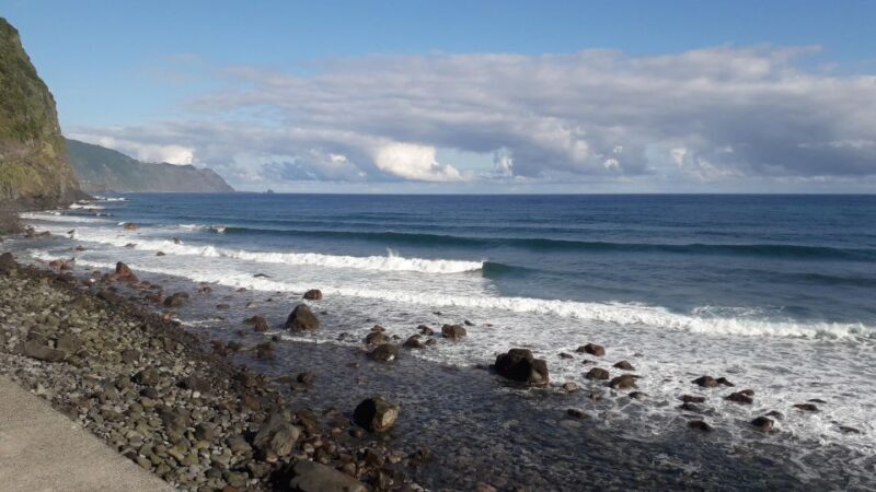 Private Full-Day Tour of North Coast and Laurissilva Forest - The Sum Up