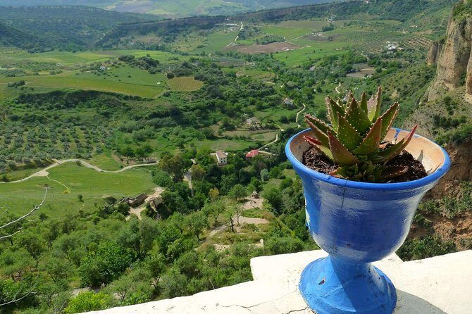 Private Full-Day Tour of Ronda from Malaga with Hotel pick up and drop off - Who Will Love This Tour?