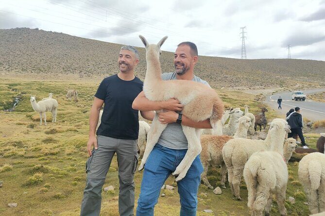 Private Full Day Tour of Ruta del Sol from Puno to Cusco - FAQ