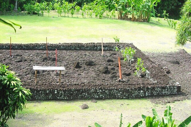 Private Full Day Tour of Tahiti - A Closer Look at the Tahiti Full-Day Tour