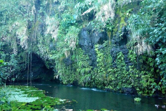 Private Full Day Tour of Tahiti - FAQ