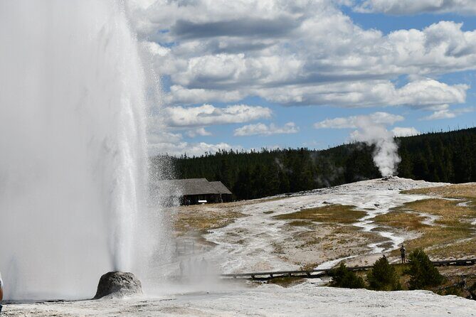 Private Full Day Tour of Yellowstone's Natural Wonders - Discover Yellowstones Natural Wonders on a Private Full-Day Tour from Big Sky
