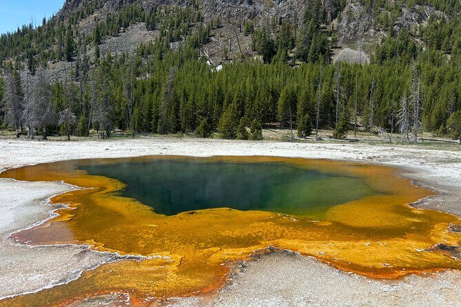 Private Full Day Tour of Yellowstone's Natural Wonders - An In-Depth Look at This Yellowstone Tour