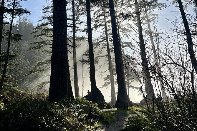 Private Full Day Tour Oregon Coast - FAQs