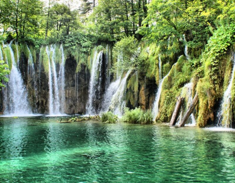 Private Full - Day Tour: Plitvice Lakes from Dubrovnik - Value and Practical Insights