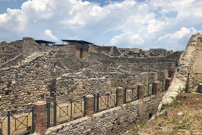 Private Full Day Tour Ruins of Pompei and Wine Tasting Experience - FAQ