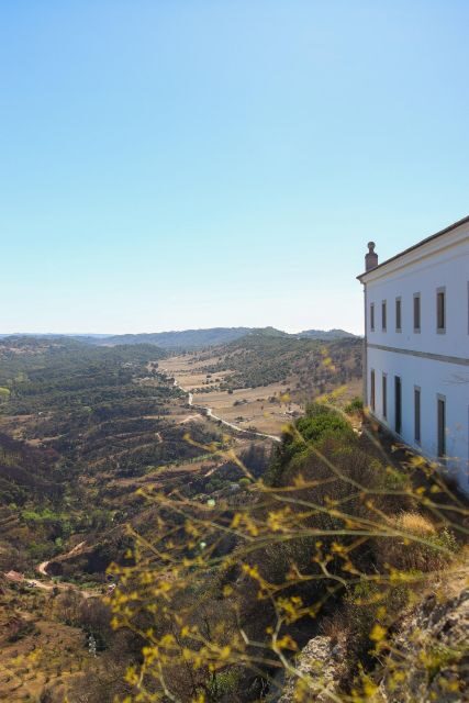 Private Full Day Tour Setubal - Practical Details and Tips