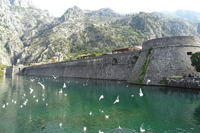 Private Full-Day Tour - Skadar Lake National Park, Saint Stefan and Kotor Tour - Final Thoughts