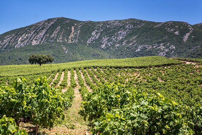 Private Full Day Tour through Sesimbra and Arrábida - Final Thoughts