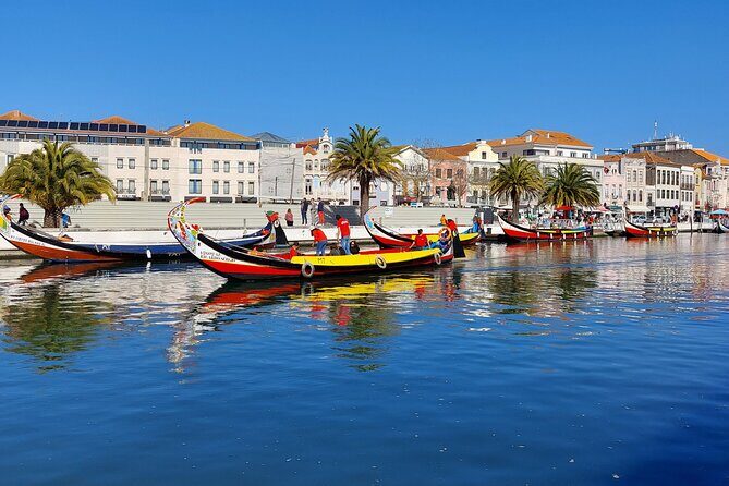 Private Full day Tour to Aveiro and Porto - The Practicalities: What You Need to Know