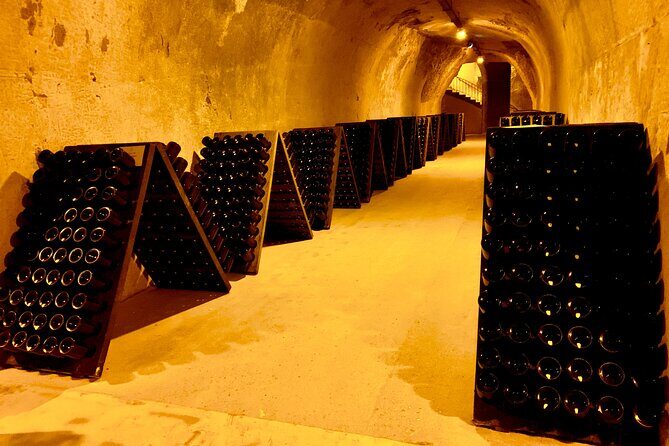 Private Full Day Tour to Champagne from Paris, Visit of 2 Champagne Producers - Who Should Consider This Tour?