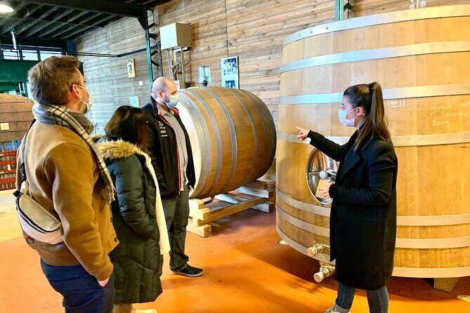 Private Full Day Tour to Champagne from Paris, Visit of 2 Champagne Producers - Frequently Asked Questions