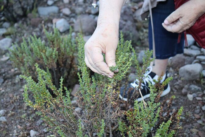 Private Full Day Tour to Colca Canyon with Breakfast - Frequently Asked Questions