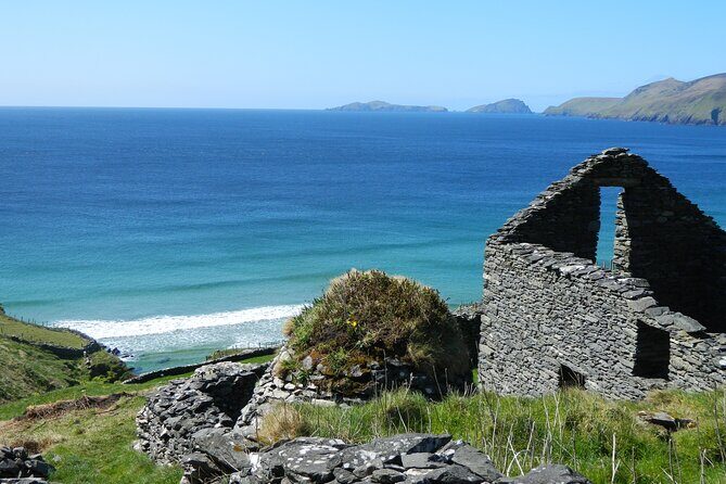Private Full-Day Tour to Dingle and Slea Head - The Sum Up: Why This Tour Is a Great Choice