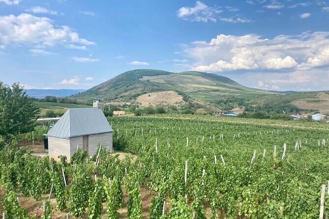 Private Full Day Tour to Eger - History, Culture and Wine - Frequently Asked Questions