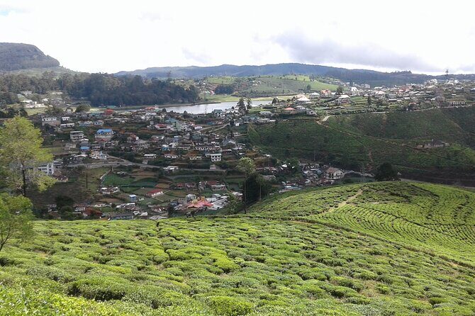 Private Full Day Tour to Nuwara Eliya from Kandy - FAQs