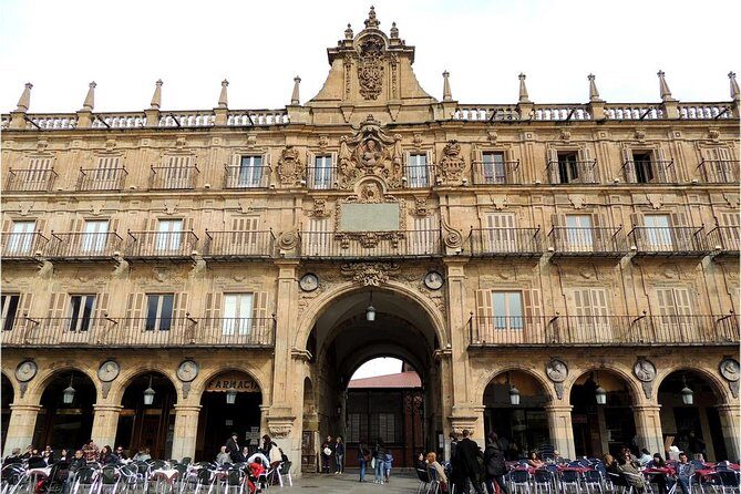Private Full day Tour to Salamanca from Madrid with hotel pick up and drop off - Who Is This Tour Best Suited For?