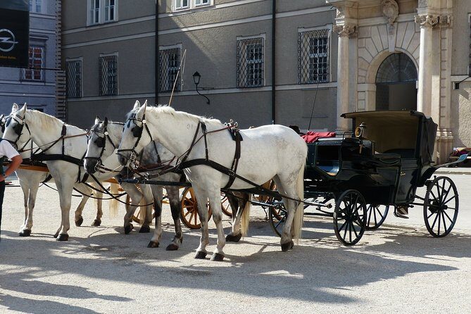 Private full day tour to Salzburg from Vienna with a local guide - Who Should Consider This Tour?