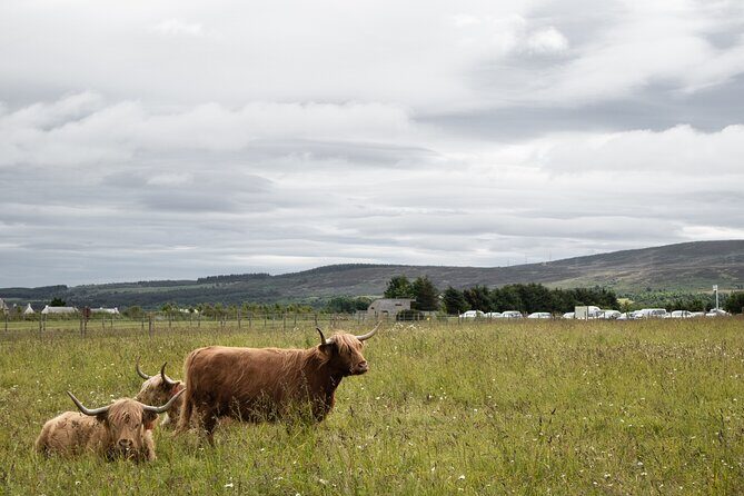 Private Full-Day Tour to the Scottish Highlands and Loch Ness - FAQ